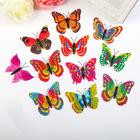 Магнит пластик "Бабочка радуга" двойные крылышки, МИКС 6,2х,7,1 см - фото 5835241