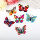 Магнит пластик "Бабочка радуга" двойные крылышки, МИКС 6,2х,7,1 см - Фото 4