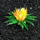 Растение искусственное аквариумное, 5 см, микс цветов (комплект 5 шт) - фото 39908692