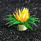 Растение искусственное аквариумное, 5 см, микс цветов (комплект 5 шт) - фото 39908693