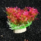 Растение искусственное аквариумное, 7 х 10 см (комплект 5 шт) - фото 24380726