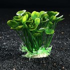 Растение искусственное аквариумное, 14 см - фото 9433252