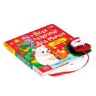 Книжка с липучками «Всех поздравит Дед Мороз!», 12 стр. - фото 3737709
