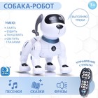 Робот-собака «Дружок-трюкач», звуковые эффекты, управление с пульта - фото 109460247