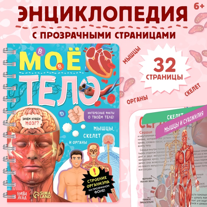 Энциклопедия с прозрачными страницами «Моё тело», 32 стр. Энциклопедия с прозрачными страницами «Моё тело», 32 стр.