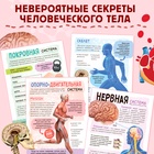 Энциклопедия с прозрачными страницами «Моё тело», 32 стр. - Фото 4