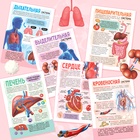 Энциклопедия с прозрачными страницами «Моё тело», 32 стр. - Фото 5