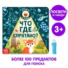 Книга с фонариком «Что где спрятано?», 24 стр. - Фото 1