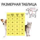 Комбинезон "Единорог", размер 12 (ДС 28 см, ОГ 38 см, ОШ 27 см), бело-синий 6968214 - фото 13904281