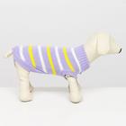 Свитер «Полоски», размер 2XL, ДС 41, ОШ 41, ОГ 36-60 см, сиреневый - Фото 2