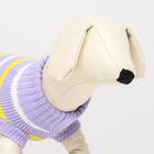 Свитер «Полоски», размер 2XL, ДС 41, ОШ 41, ОГ 36-60 см, сиреневый - Фото 5