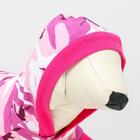 Кофта с капюшоном "Пустыня", флис, размер L (ДС 30, ОШ 28, ОГ 23 см), розовое - фото 39908736