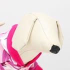 Кофта с капюшоном "Пустыня", флис, размер L (ДС 30, ОШ 28, ОГ 23 см), розовое - фото 39908737