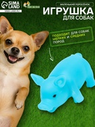 Игрушка для собак «Маленький поросёнок», 9 см, пищащая, винил, голубая - Фото 1