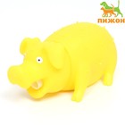 Игрушка пищащая "Весёлая свинья" для собак, хрюкающая, 19 см, жёлтая - фото 2105663