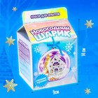 Набор для опытов «Новогодний шарик», домик, диаметр 11 см - фото 21392966