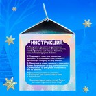 Набор для опытов «Новогодний шарик», домик, диаметр 11 см - фото 21392968