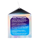 Набор для опытов «Новогодний шарик», домик, диаметр 11 см - фото 21392972