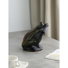 Копилка "Жаба", покрытие глазурь, керамика, 21 см, микс - фото 24593705