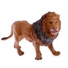 Фигурка животного «Дикий зверь», МИКС - Фото 4