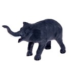 Фигурка животного «Дикий зверь», МИКС - Фото 9