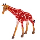 Фигурка животного «Дикий зверь», МИКС - Фото 10