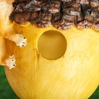 Подвесной декор "Кормушка белка с орехом" малая 17х17х16см - Фото 5