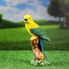 Садовая фигура "Попугай на ветке" 22х8х9см - фото 320892322
