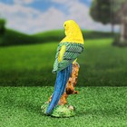 Садовая фигура "Попугай на ветке" 22х8х9см - Фото 3