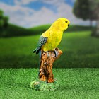 Садовая фигура "Попугай на ветке" 22х8х9см - Фото 4