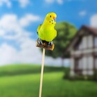 Фигура - штекер "Попугай" зеленый 10х5х4см - Фото 4