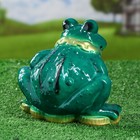 Садовая фигура "Жаба на монетах", зелёная, 20 см - Фото 4