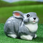 Садовая фигура "Заяц", глянец, серый цвет, 17 см, микс - Фото 1