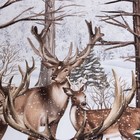 Покрывало "Этель" евро Олени в зимнем лесу, 210*215 см, 100% хлопок - фото 51511535