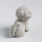 Молд силиконовый "Котенок британец" 5,5х3,5х5,3 см МИКС - фото 21394391