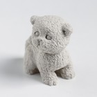 Молд силиконовый "Котенок британец" 5,5х3,5х5,3 см МИКС - фото 21394393