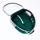 Рюкзак для переноски животных прозрачный, 31×28×42 см, сине-зелёный - Фото 6