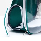 Рюкзак для переноски животных прозрачный, 31×28×42 см, сине-зелёный - Фото 8