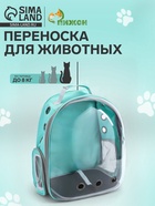Рюкзак для переноски животных прозрачный, 31×28×42 см, бирюзовый - Фото 1