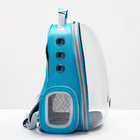 Рюкзак для переноски животных прозрачный, 31 х 28 х 42 см, голубой - фото 6489055