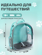 Рюкзак для переноски животных прозрачный, 31×28×42 см, бирюзовый - Фото 2