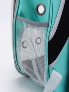 Рюкзак для переноски животных прозрачный, 31×28×42 см, бирюзовый - Фото 12