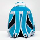 Рюкзак для переноски животных прозрачный, 31 х 28 х 42 см, голубой - Фото 3