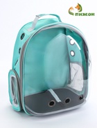 Рюкзак для переноски животных прозрачный, 31×28×42 см, бирюзовый - Фото 4