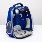 Рюкзак для переноски животных "Котик", прозрачный, 34 х 25 х 40 см, синий - Фото 9