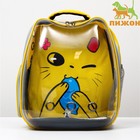 Рюкзак для переноски животных "Котик", прозрачный, 34 х 25 х 40 см, жёлтый - фото 6489064
