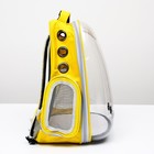 Рюкзак для переноски животных "Котик", прозрачный, 34 х 25 х 40 см, жёлтый - фото 6489065