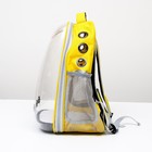 Рюкзак для переноски животных "Котик", прозрачный, 34 х 25 х 40 см, жёлтый - фото 6489066