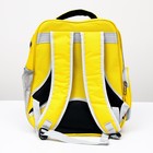 Рюкзак для переноски животных "Котик", прозрачный, 34 х 25 х 40 см, жёлтый - фото 6489067