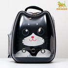 Рюкзак для переноски животных "Котик", прозрачный, 34 х 25 х 40 см, чёрный - фото 6489074
